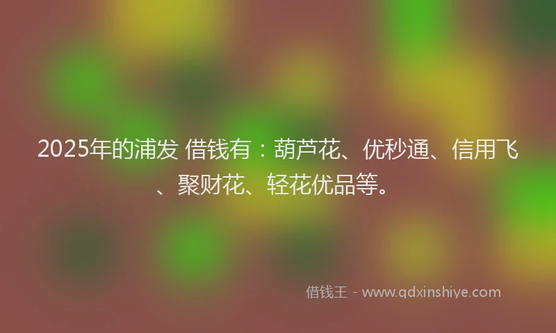 2025年的浦发 借钱有：葫芦花、优秒通、信用飞、聚财花、轻花优品等。