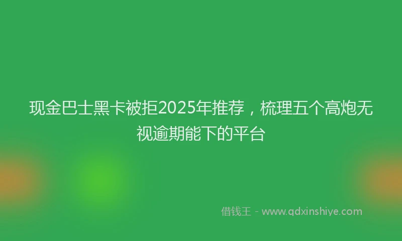 现金巴士黑卡被拒2025年推荐，梳理五个高炮无视逾期能下的平台