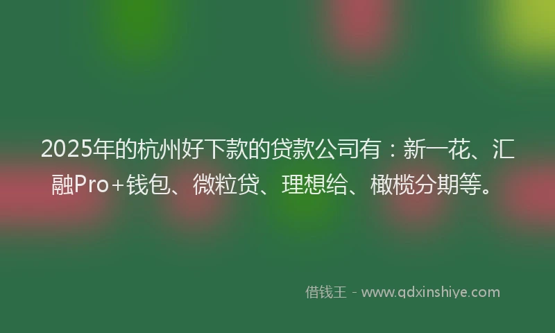 2025年的杭州好下款的贷款公司有：新一花、汇融Pro+钱包、微粒贷、理想给、橄榄分期等。