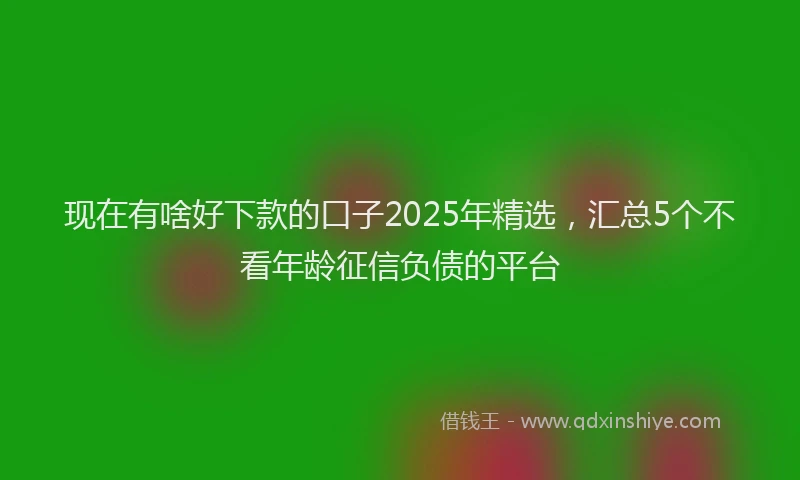 现在有啥好下款的口子2025年精选，汇总5个不看年龄征信负债的平台
