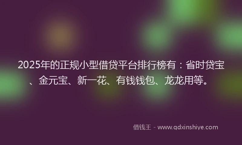 2025年的正规小型借贷平台排行榜有：省时贷宝、金元宝、新一花、有钱钱包、龙龙用等。