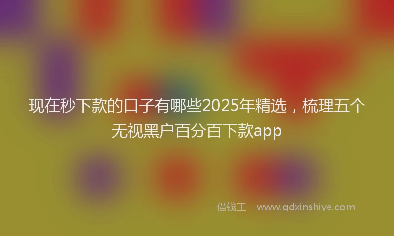 现在秒下款的口子有哪些2025年精选，梳理五个无视黑户百分百下款app