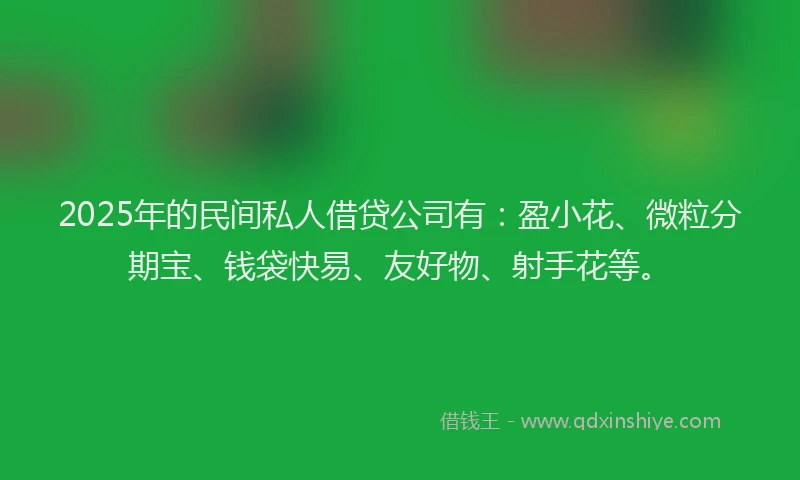 2025年的民间私人借贷公司有：盈小花、微粒分期宝、钱袋快易、友好物、射手花等。