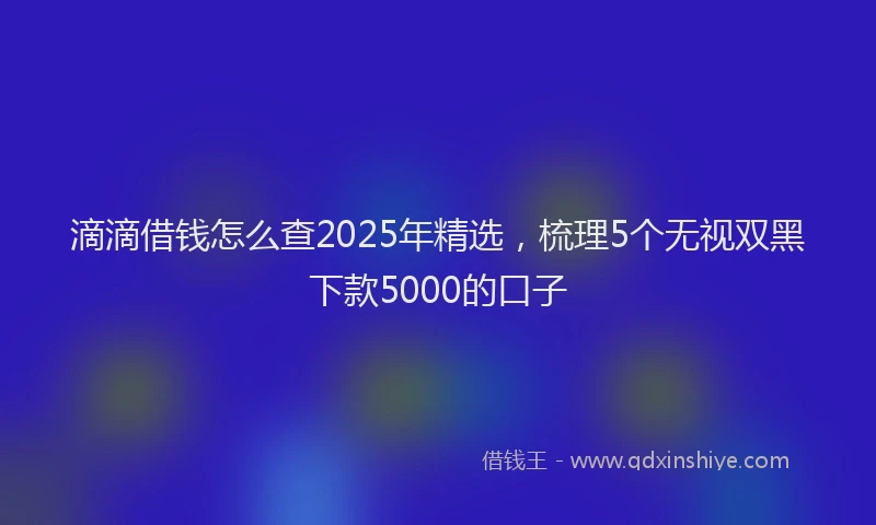 滴滴借钱怎么查2025年精选，梳理5个无视双黑下款5000的口子
