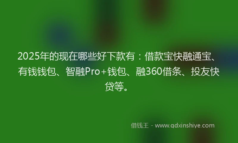 2025年的现在哪些好下款有：借款宝快融通宝、有钱钱包、智融Pro+钱包、融360借条、投友快贷等。