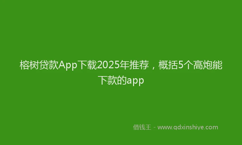 榕树贷款App下载2025年推荐，概括5个高炮能下款的app
