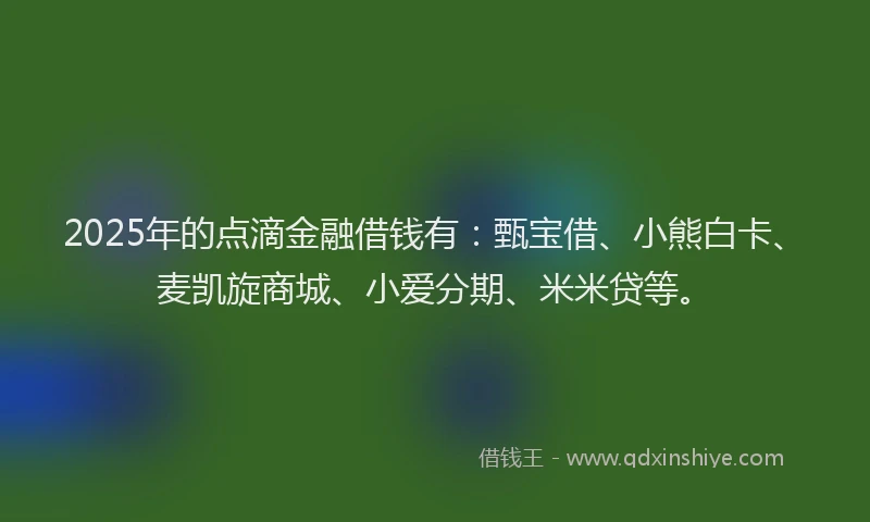 2025年的点滴金融借钱有：甄宝借、小熊白卡、麦凯旋商城、小爱分期、米米贷等。