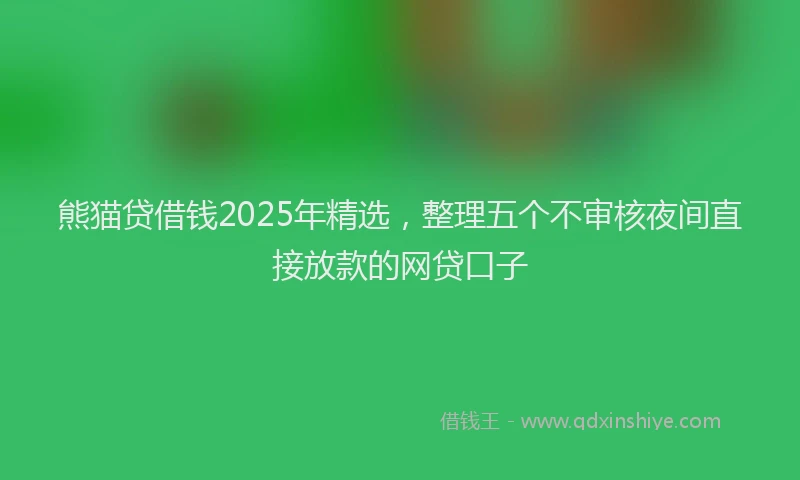 熊猫贷借钱2025年精选，整理五个不审核夜间直接放款的网贷口子