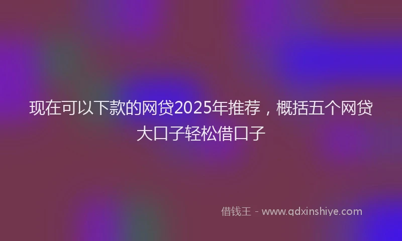 现在可以下款的网贷2025年推荐，概括五个网贷大口子轻松借口子