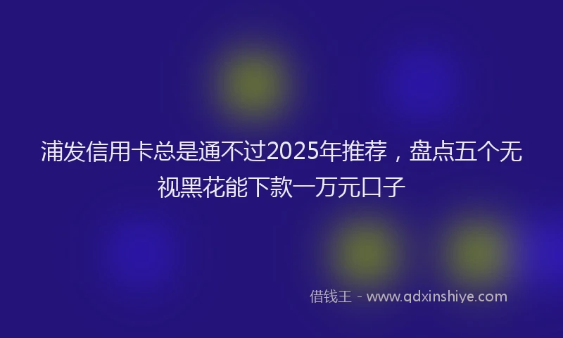 浦发信用卡总是通不过2025年推荐，盘点五个无视黑花能下款一万元口子