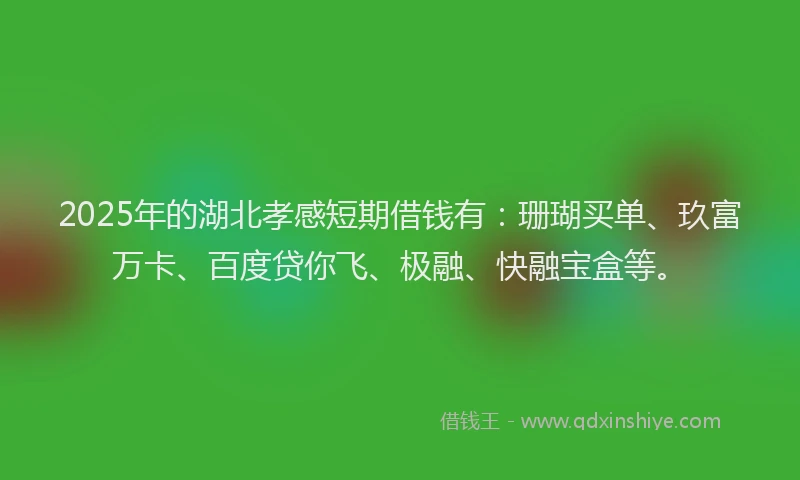 2025年的湖北孝感短期借钱有：珊瑚买单、玖富万卡、百度贷你飞、极融、快融宝盒等。
