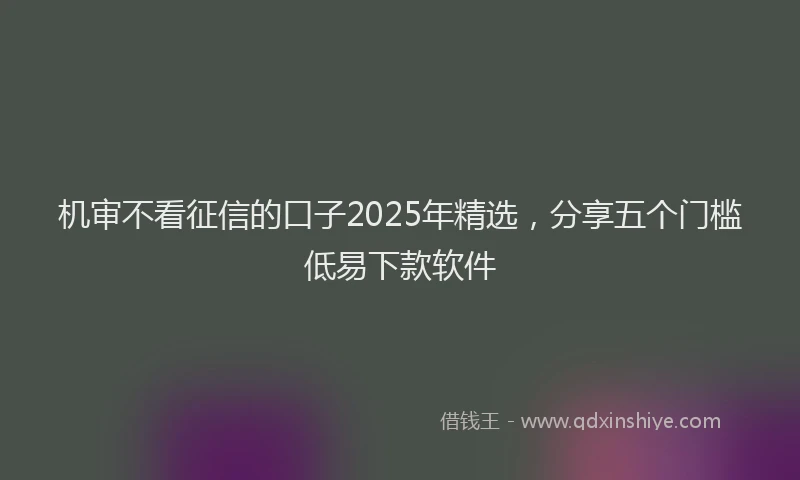 机审不看征信的口子2025年精选，分享五个门槛低易下款软件