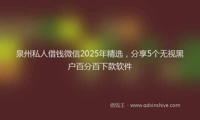 泉州私人借钱微信2025年精选，分享5个无视黑户百分百下款软件