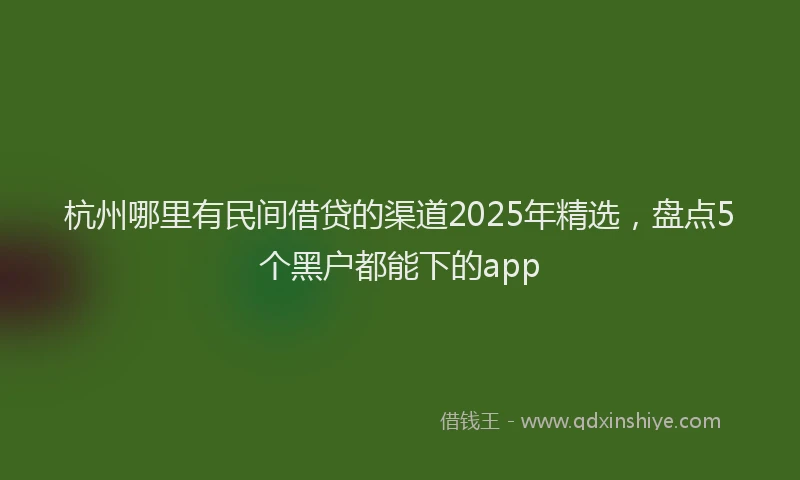 杭州哪里有民间借贷的渠道2025年精选，盘点5个黑户都能下的app