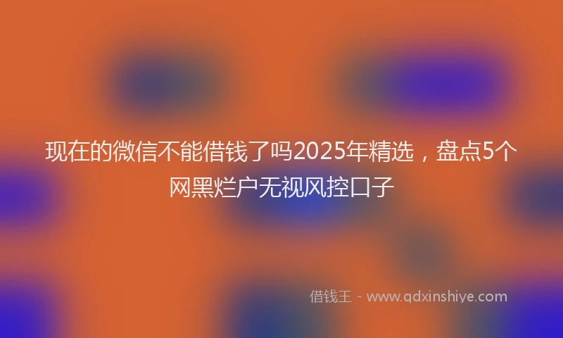 现在的微信不能借钱了吗2025年精选，盘点5个网黑烂户无视风控口子