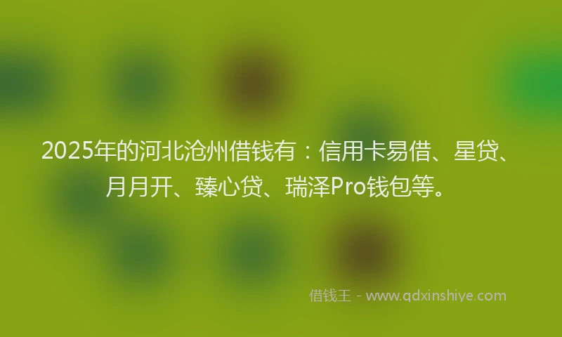 2025年的河北沧州借钱有：信用卡易借、星贷、月月开、臻心贷、瑞泽Pro钱包等。