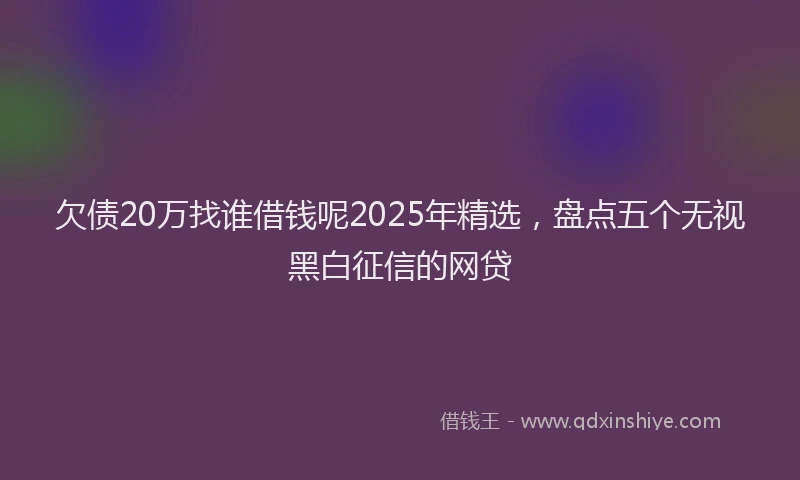 欠债20万找谁借钱呢2025年精选，盘点五个无视黑白征信的网贷