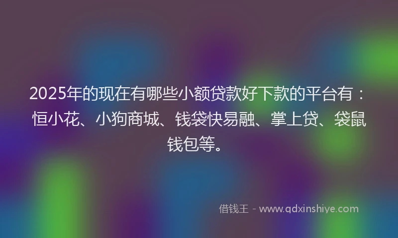 2025年的现在有哪些小额贷款好下款的平台有：恒小花、小狗商城、钱袋快易融、掌上贷、袋鼠钱包等。