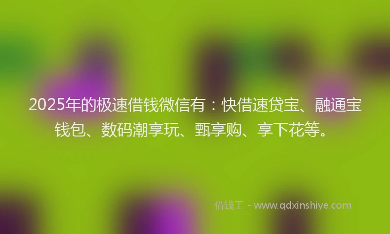 2025年的极速借钱微信有：快借速贷宝、融通宝钱包、数码潮享玩、甄享购、享下花等。
