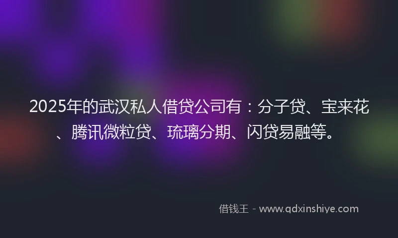 2025年的武汉私人借贷公司有：分子贷、宝来花、腾讯微粒贷、琉璃分期、闪贷易融等。