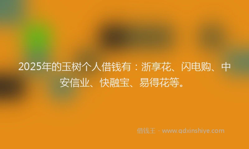 2025年的玉树个人借钱有：浙享花、闪电购、中安信业、快融宝、易得花等。