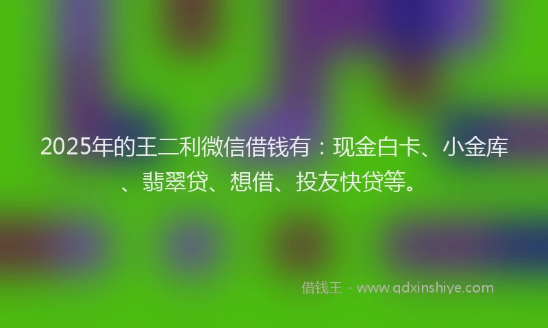 2025年的王二利微信借钱有：现金白卡、小金库、翡翠贷、想借、投友快贷等。