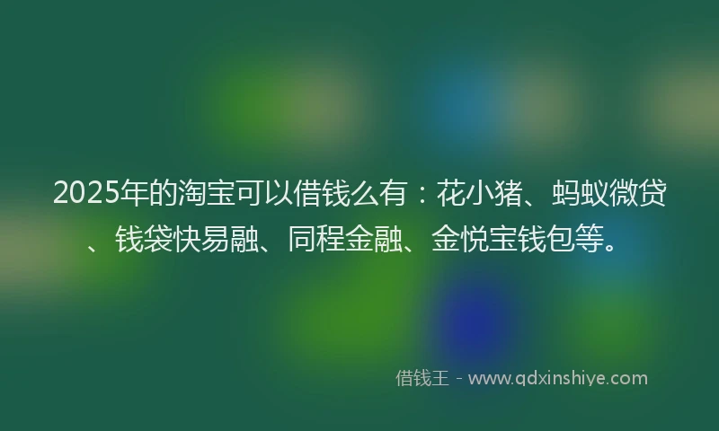 2025年的淘宝可以借钱么有：花小猪、蚂蚁微贷、钱袋快易融、同程金融、金悦宝钱包等。