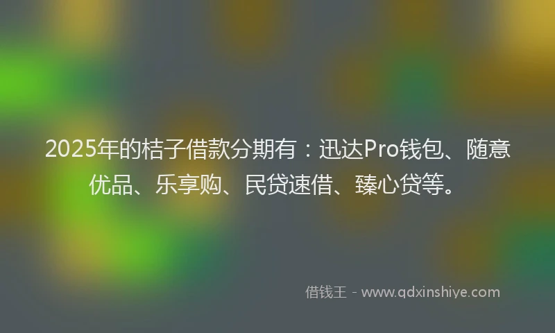 2025年的桔子借款分期有：迅达Pro钱包、随意优品、乐享购、民贷速借、臻心贷等。