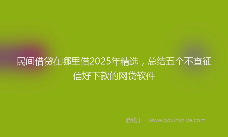 民间借贷在哪里借2025年精选，总结五个不查征信好下款的网贷软件