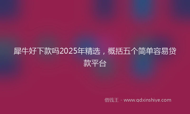 犀牛好下款吗2025年精选，概括五个简单容易贷款平台