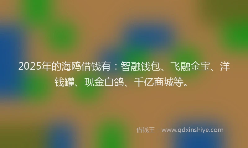 2025年的海鸥借钱有：智融钱包、飞融金宝、洋钱罐、现金白鸽、千亿商城等。