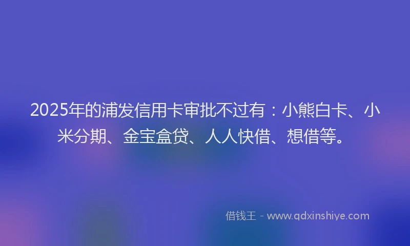 2025年的浦发信用卡审批不过有：小熊白卡、小米分期、金宝盒贷、人人快借、想借等。