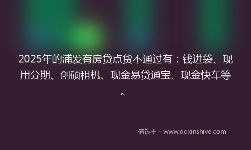 2025年的浦发有房贷点货不通过有：钱进袋、现用分期、创硕租机、现金易贷通宝、现金快车等。