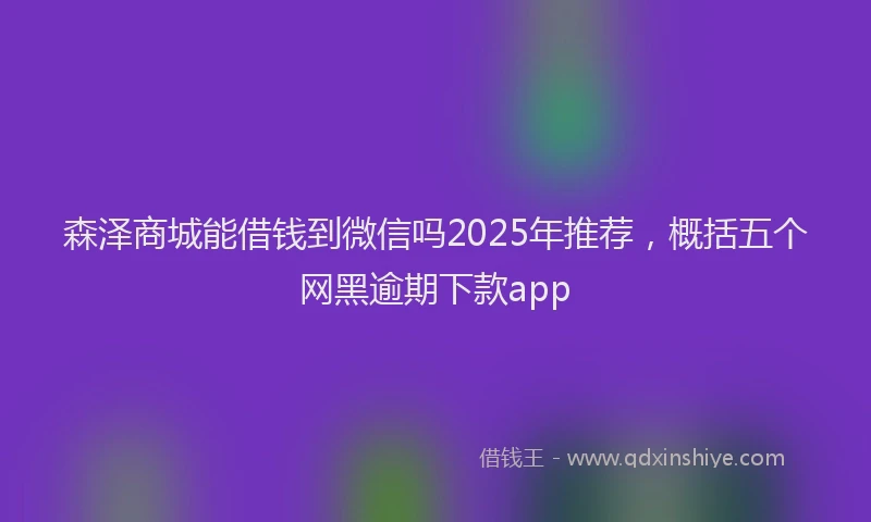 森泽商城能借钱到微信吗2025年推荐，概括五个网黑逾期下款app