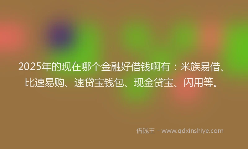 2025年的现在哪个金融好借钱啊有：米族易借、比速易购、速贷宝钱包、现金贷宝、闪用等。