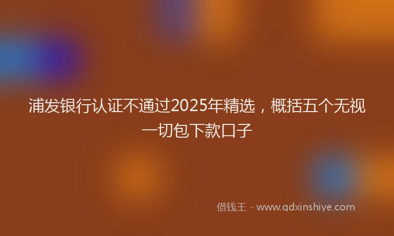 浦发银行认证不通过2025年精选，概括五个无视一切包下款口子