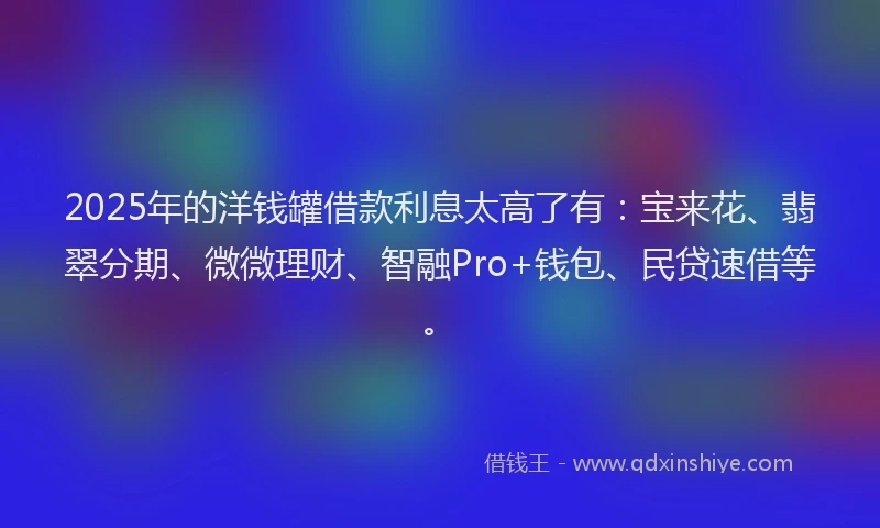 2025年的洋钱罐借款利息太高了有：宝来花、翡翠分期、微微理财、智融Pro+钱包、民贷速借等。