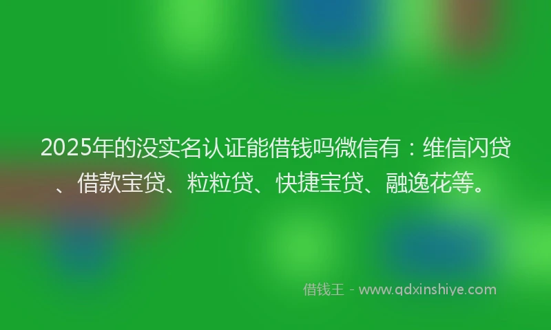2025年的没实名认证能借钱吗微信有：维信闪贷、借款宝贷、粒粒贷、快捷宝贷、融逸花等。