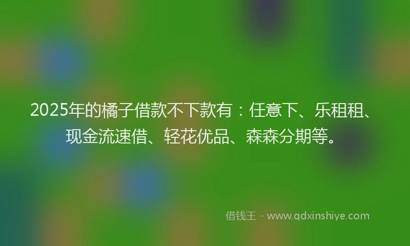 2025年的橘子借款不下款有：任意下、乐租租、现金流速借、轻花优品、森森分期等。