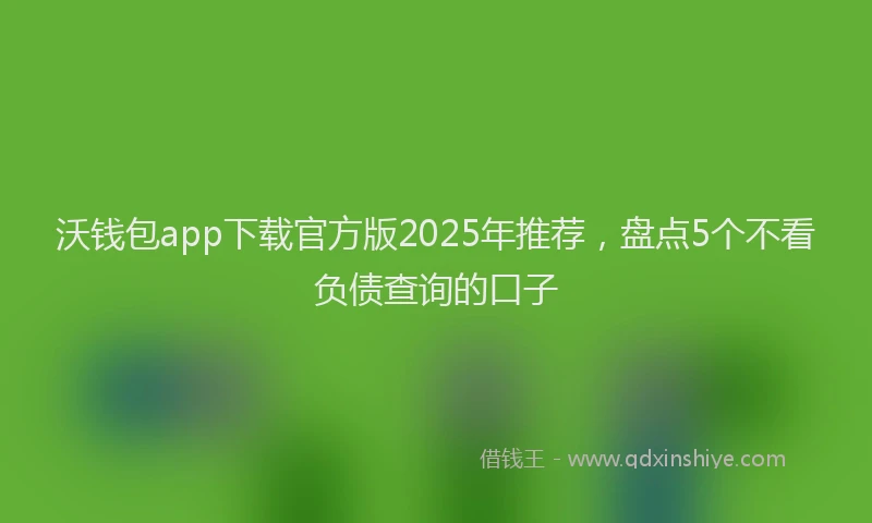 沃钱包app下载官方版2025年推荐，盘点5个不看负债查询的口子