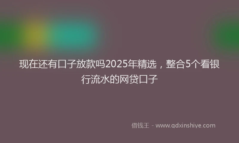 现在还有口子放款吗2025年精选，整合5个看银行流水的网贷口子