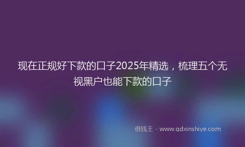 现在正规好下款的口子2025年精选，梳理五个无视黑户也能下款的口子