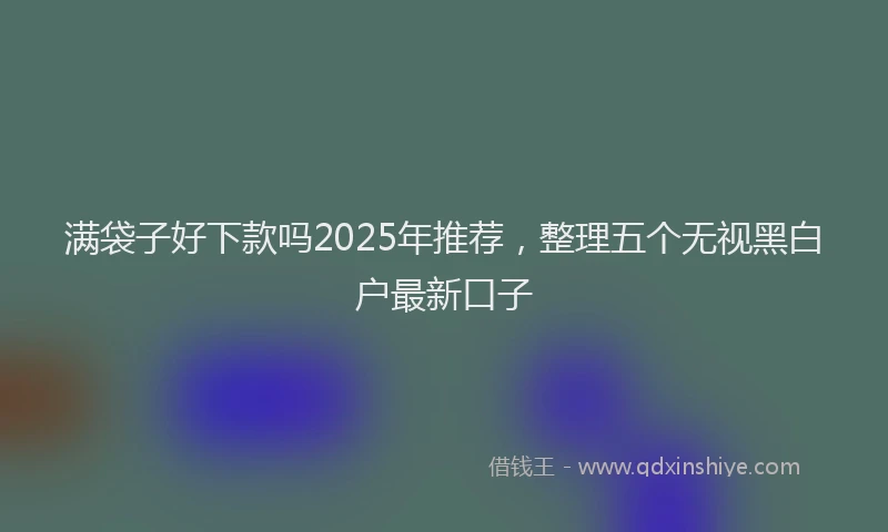 满袋子好下款吗2025年推荐，整理五个无视黑白户最新口子