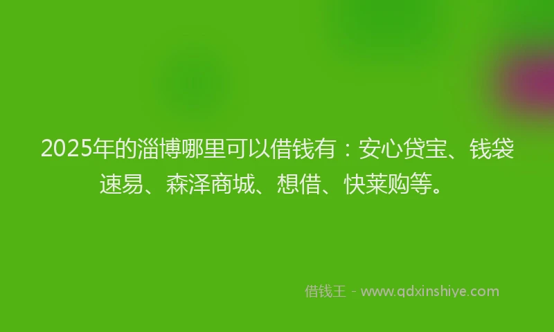 2025年的淄博哪里可以借钱有：安心贷宝、钱袋速易、森泽商城、想借、快莱购等。