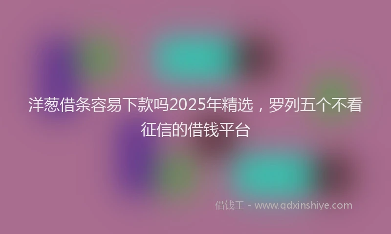 洋葱借条容易下款吗2025年精选，罗列五个不看征信的借钱平台