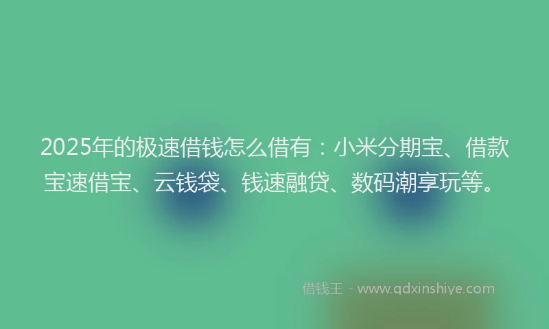 2025年的极速借钱怎么借有：小米分期宝、借款宝速借宝、云钱袋、钱速融贷、数码潮享玩等。