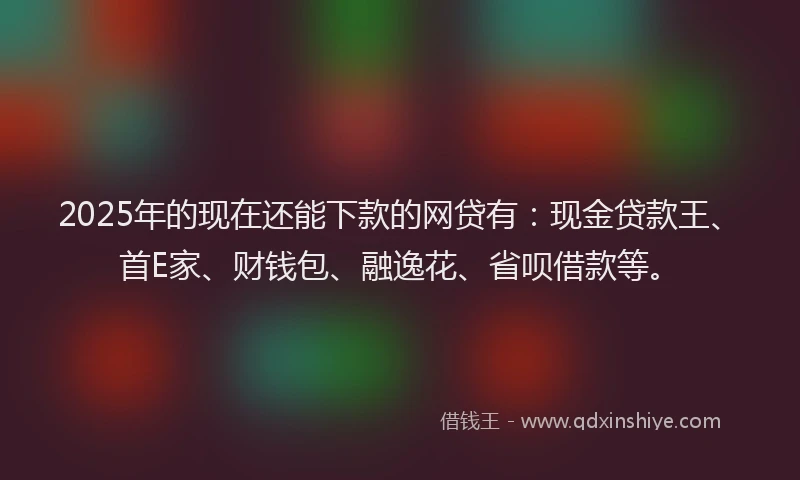 2025年的现在还能下款的网贷有：现金贷款王、首E家、财钱包、融逸花、省呗借款等。