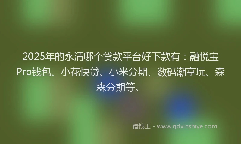 2025年的永清哪个贷款平台好下款有：融悦宝Pro钱包、小花快贷、小米分期、数码潮享玩、森森分期等。