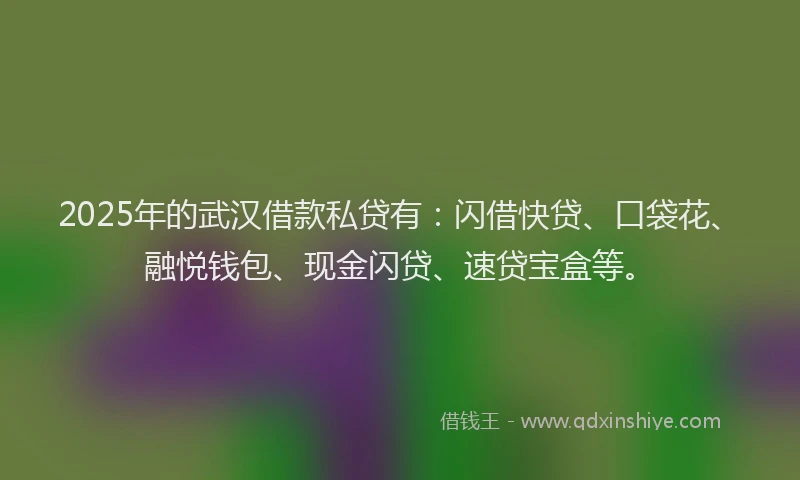 2025年的武汉借款私贷有：闪借快贷、口袋花、融悦钱包、现金闪贷、速贷宝盒等。