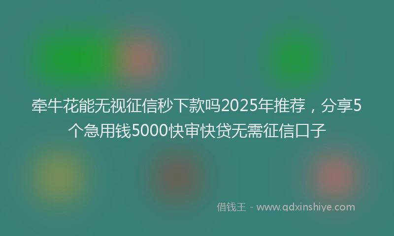 牵牛花能无视征信秒下款吗2025年推荐，分享5个急用钱5000快审快贷无需征信口子